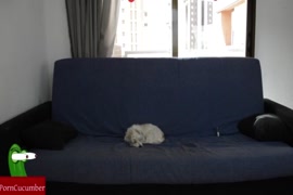 سكس نساء حاميات كثيرن امريكي